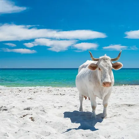 Hébergement de vacances Villino Tavolara A *