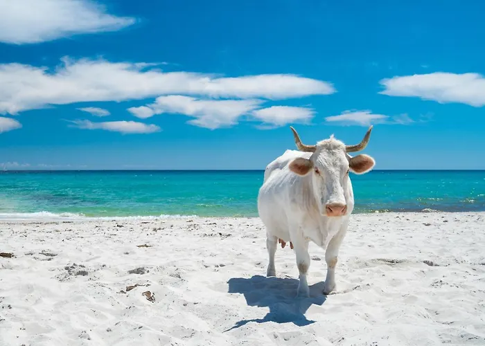 度假居 Villino Tavolara A *